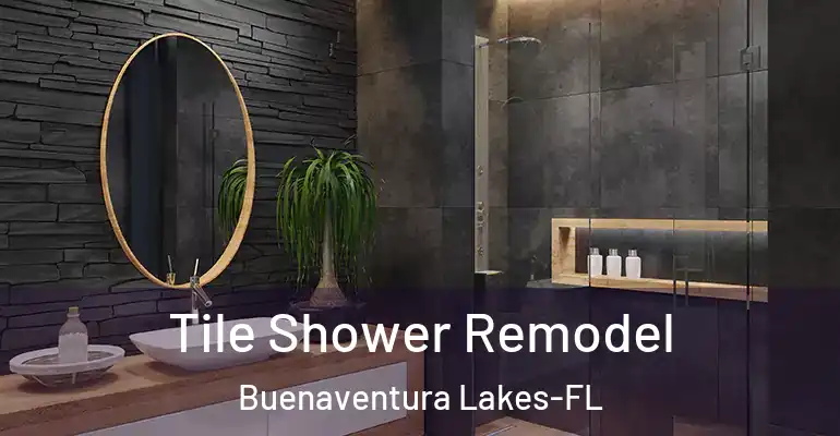 inner Bathroom imggen Tile Shower Remodel Buenaventura Lakes-FL