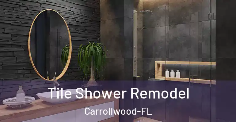inner Bathroom imggen Tile Shower Remodel Carrollwood-FL