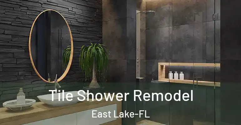inner Bathroom imggen Tile Shower Remodel East Lake-FL