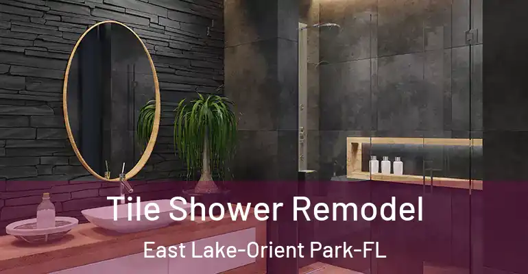 inner Bathroom imggen Tile Shower Remodel East Lake-Orient Park-FL
