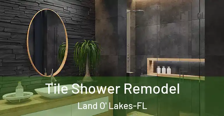 inner Bathroom imggen Tile Shower Remodel Land O' Lakes-FL
