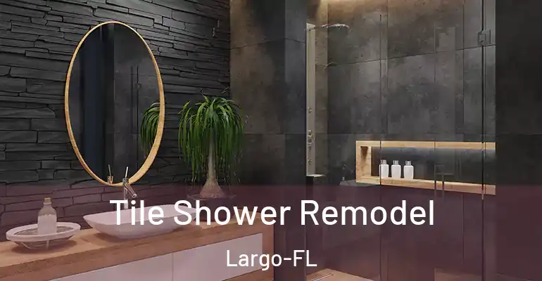 inner Bathroom imggen Tile Shower Remodel Largo-FL
