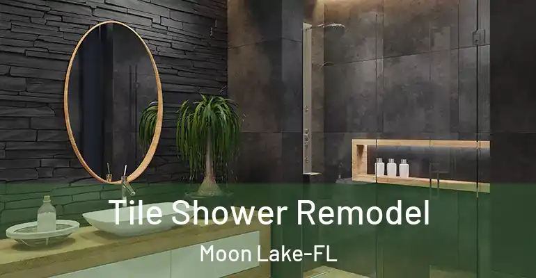 inner Bathroom imggen Tile Shower Remodel Moon Lake-FL