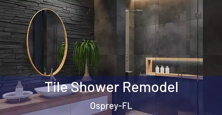 inner Bathroom imggen Tile Shower Remodel Osprey-FL