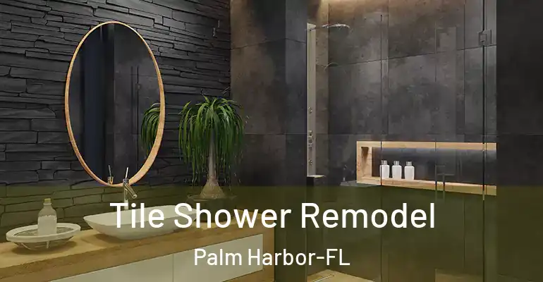 inner Bathroom imggen Tile Shower Remodel Palm Harbor-FL