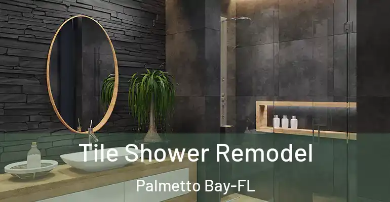 inner Bathroom imggen Tile Shower Remodel Palmetto Bay-FL