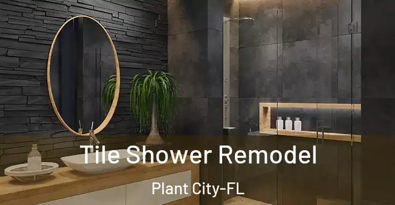 inner Bathroom imggen Tile Shower Remodel Plant City-FL