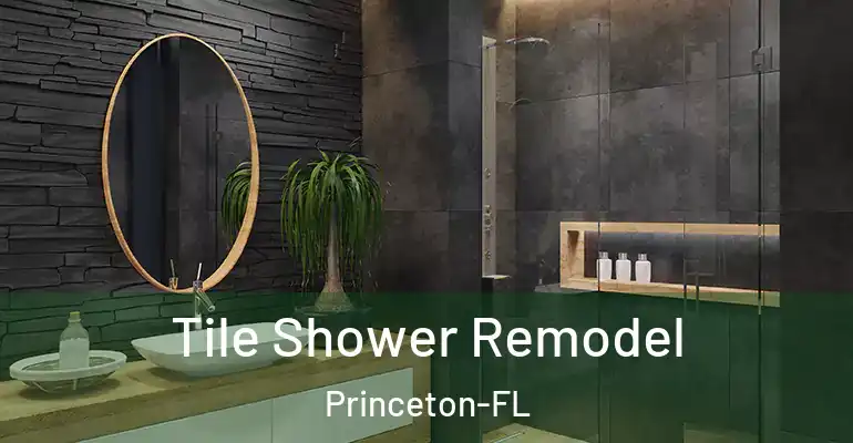 inner Bathroom imggen Tile Shower Remodel Princeton-FL