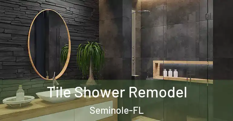 inner Bathroom imggen Tile Shower Remodel Seminole-FL