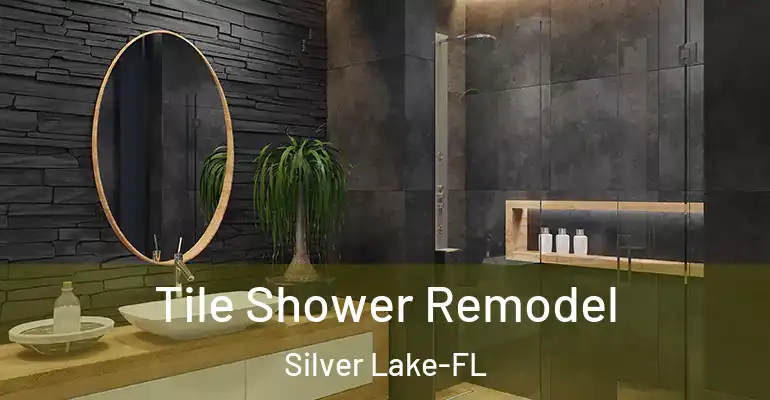 inner Bathroom imggen Tile Shower Remodel Silver Lake-FL