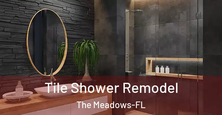 inner Bathroom imggen Tile Shower Remodel The Meadows-FL