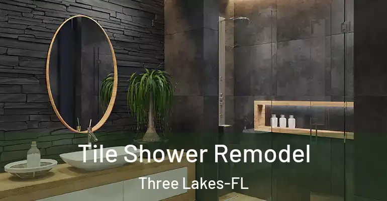 inner Bathroom imggen Tile Shower Remodel Three Lakes-FL
