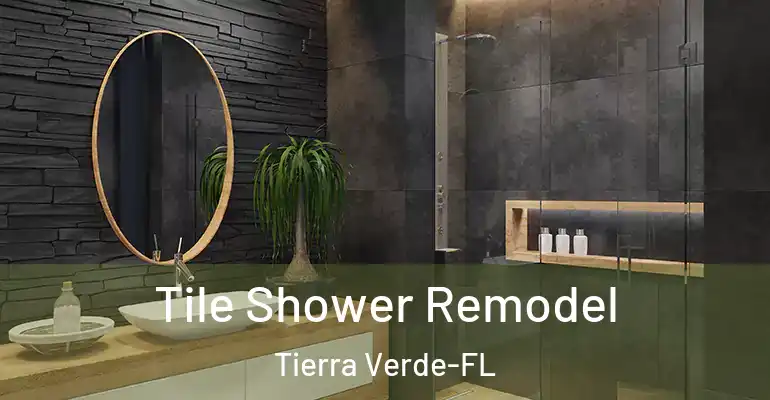 inner Bathroom imggen Tile Shower Remodel Tierra Verde-FL