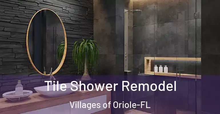 inner Bathroom imggen Tile Shower Remodel Villages of Oriole-FL