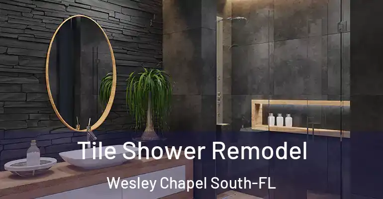 inner Bathroom imggen Tile Shower Remodel Wesley Chapel South-FL