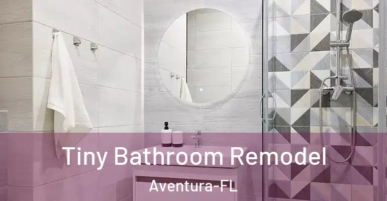 inner Bathroom imggen Tiny Bathroom Remodel Aventura-FL