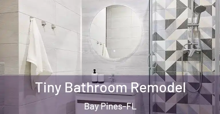 inner Bathroom imggen Tiny Bathroom Remodel Bay Pines-FL