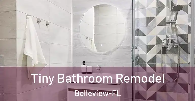 inner Bathroom imggen Tiny Bathroom Remodel Belleview-FL