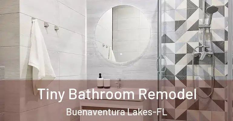 inner Bathroom imggen Tiny Bathroom Remodel Buenaventura Lakes-FL