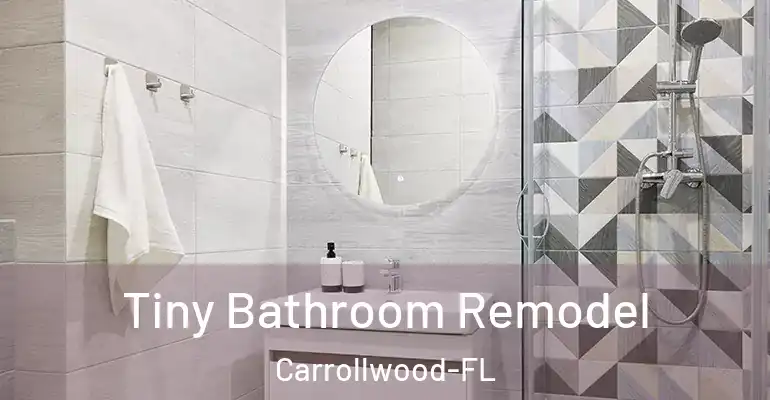 inner Bathroom imggen Tiny Bathroom Remodel Carrollwood-FL