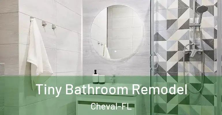 inner Bathroom imggen Tiny Bathroom Remodel Cheval-FL