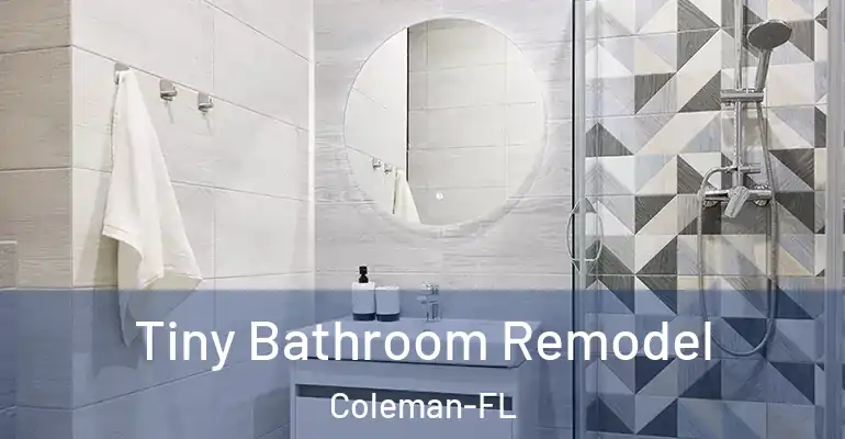 inner Bathroom imggen Tiny Bathroom Remodel Coleman-FL