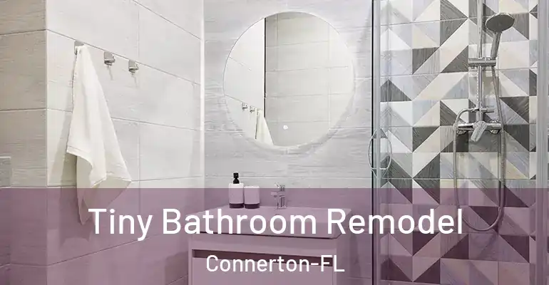inner Bathroom imggen Tiny Bathroom Remodel Connerton-FL