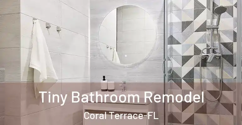 inner Bathroom imggen Tiny Bathroom Remodel Coral Terrace-FL