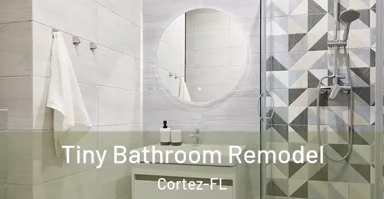 inner Bathroom imggen Tiny Bathroom Remodel Cortez-FL