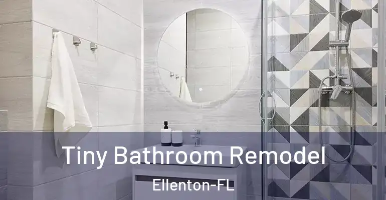 inner Bathroom imggen Tiny Bathroom Remodel Ellenton-FL