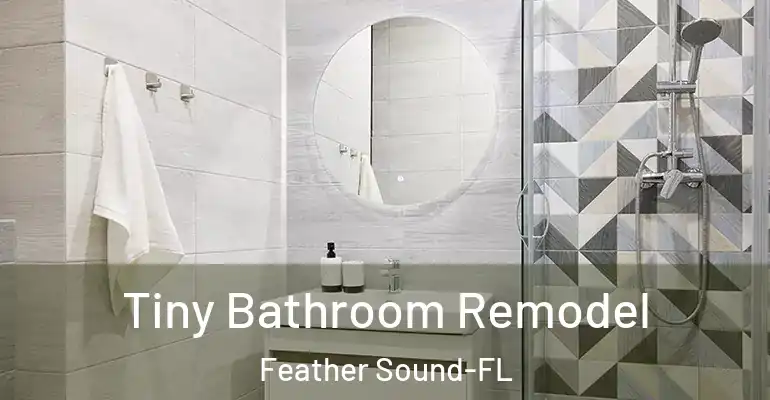 inner Bathroom imggen Tiny Bathroom Remodel Feather Sound-FL