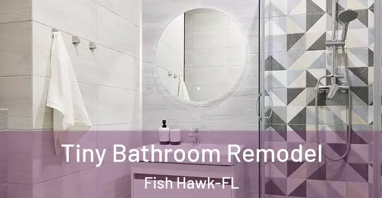 inner Bathroom imggen Tiny Bathroom Remodel Fish Hawk-FL
