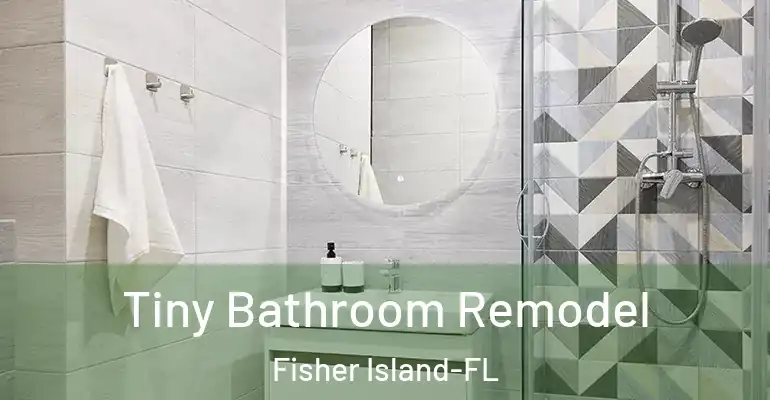 inner Bathroom imggen Tiny Bathroom Remodel Fisher Island-FL