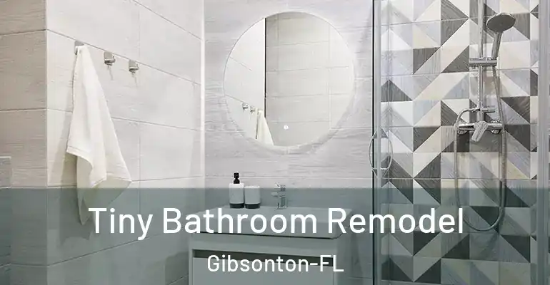 inner Bathroom imggen Tiny Bathroom Remodel Gibsonton-FL