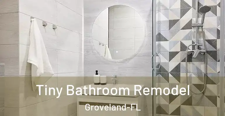 inner Bathroom imggen Tiny Bathroom Remodel Groveland-FL