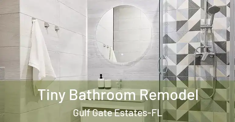 inner Bathroom imggen Tiny Bathroom Remodel Gulf Gate Estates-FL