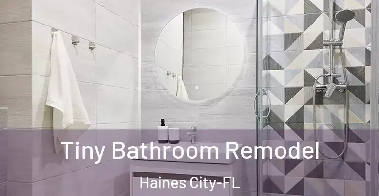 inner Bathroom imggen Tiny Bathroom Remodel Haines City-FL