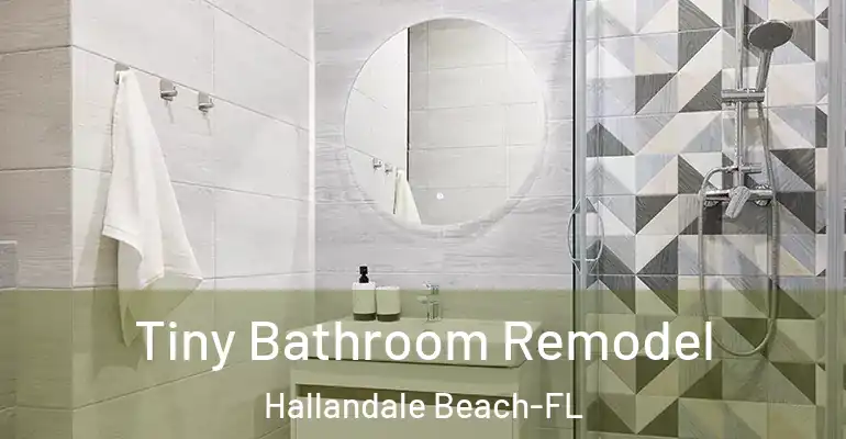 inner Bathroom imggen Tiny Bathroom Remodel Hallandale Beach-FL