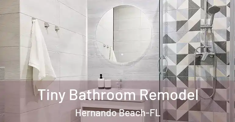 inner Bathroom imggen Tiny Bathroom Remodel Hernando Beach-FL