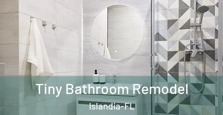 inner Bathroom imggen Tiny Bathroom Remodel Islandia-FL