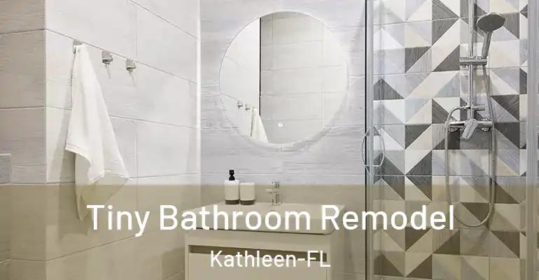 inner Bathroom imggen Tiny Bathroom Remodel Kathleen-FL