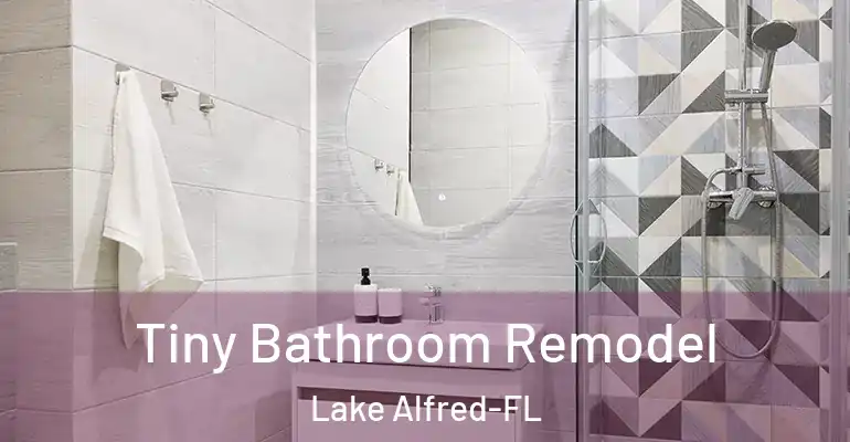inner Bathroom imggen Tiny Bathroom Remodel Lake Alfred-FL