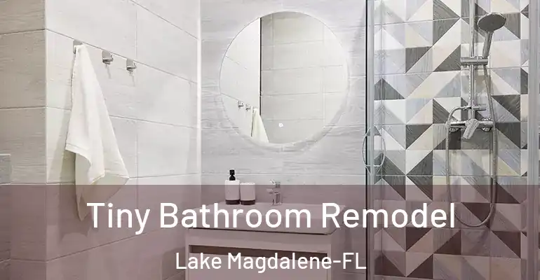 inner Bathroom imggen Tiny Bathroom Remodel Lake Magdalene-FL