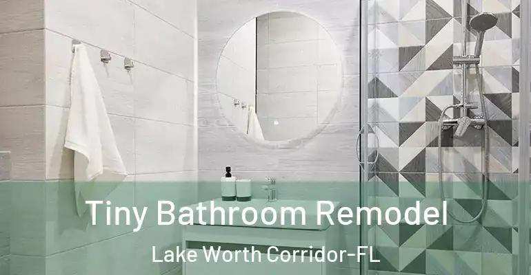 inner Bathroom imggen Tiny Bathroom Remodel Lake Worth Corridor-FL