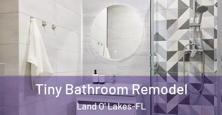 inner Bathroom imggen Tiny Bathroom Remodel Land O' Lakes-FL