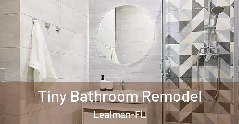 inner Bathroom imggen Tiny Bathroom Remodel Lealman-FL