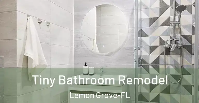 inner Bathroom imggen Tiny Bathroom Remodel Lemon Grove-FL