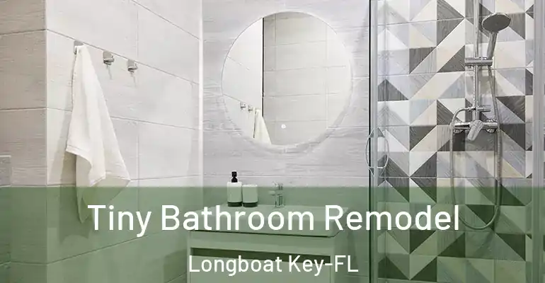 inner Bathroom imggen Tiny Bathroom Remodel Longboat Key-FL