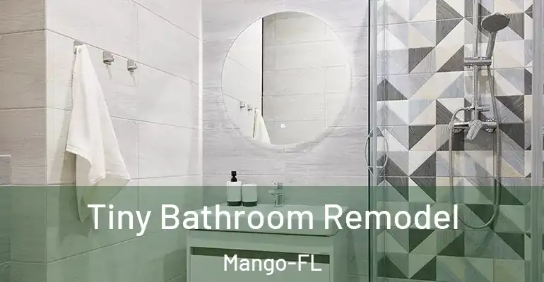 inner Bathroom imggen Tiny Bathroom Remodel Mango-FL