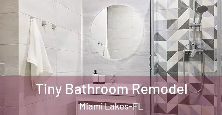 inner Bathroom imggen Tiny Bathroom Remodel Miami Lakes-FL
